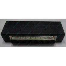 Переходник SCSI внутренний 50M - 68M (Назрань)