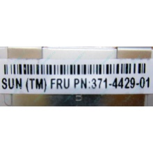 Серверная память SUN (FRU PN 371-4429-01) 4096Mb (4Gb) DDR3 ECC в Назрани, память для сервера SUN FRU P/N 371-4429-01 (Назрань)