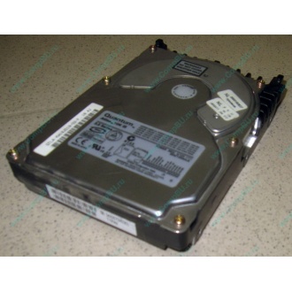 Жесткий диск 18.4Gb Quantum Atlas 10K III U160 SCSI (Назрань)