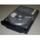 Жесткий диск 18.4Gb Quantum Atlas 10K III U160 SCSI (Назрань)