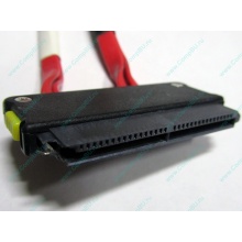 SATA-кабель для корзины HDD HP 451782-001 459190-001 для HP ML310 G5 (Назрань)