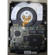 Жесткий диск 18.2Gb IBM Ultrastar DDYS-T18350 Ultra3 SCSI (Назрань)