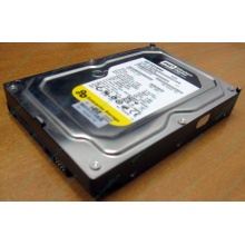 Жесткий диск 160Gb WD WD1602ABKS SATA (Назрань)