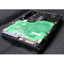 Жесткий диск 600Gb 15k Dell 9FN066-008 6G SAS ( Seagate Cheetach ST3600057SS 15K.7) - Назрань