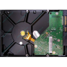 Б/У жёсткий диск 1Tb Western Digital WD10EVVS Green (WD AV-GP 1000 GB) 5400 rpm SATA (Назрань)