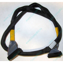 Кабель SCSI HP 166298-037 для ML370 (Назрань)