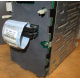 HP 365664-001 кабель SCSI для корзины 373108-001 / 359719-001 HP ML370G4 (Назрань)