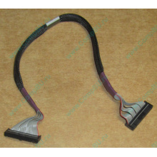 FDD-кабель HP 271946-006 для ML370 (Назрань)