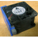 Вентилятор TFB0612GHE для корпусов Intel SR2300 / SR2400 (Назрань)