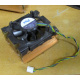 Intel C24751-002 (Назрань)