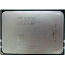 AMD Opteron 6128 OS6128WKT8EGO (Назрань)