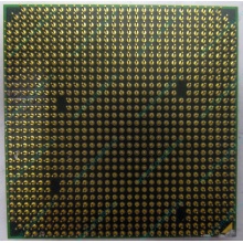 Процессор AMD Athlon 64300+ (1.8GHz) ADA3000IAA4CN s.AM2 (Назрань)